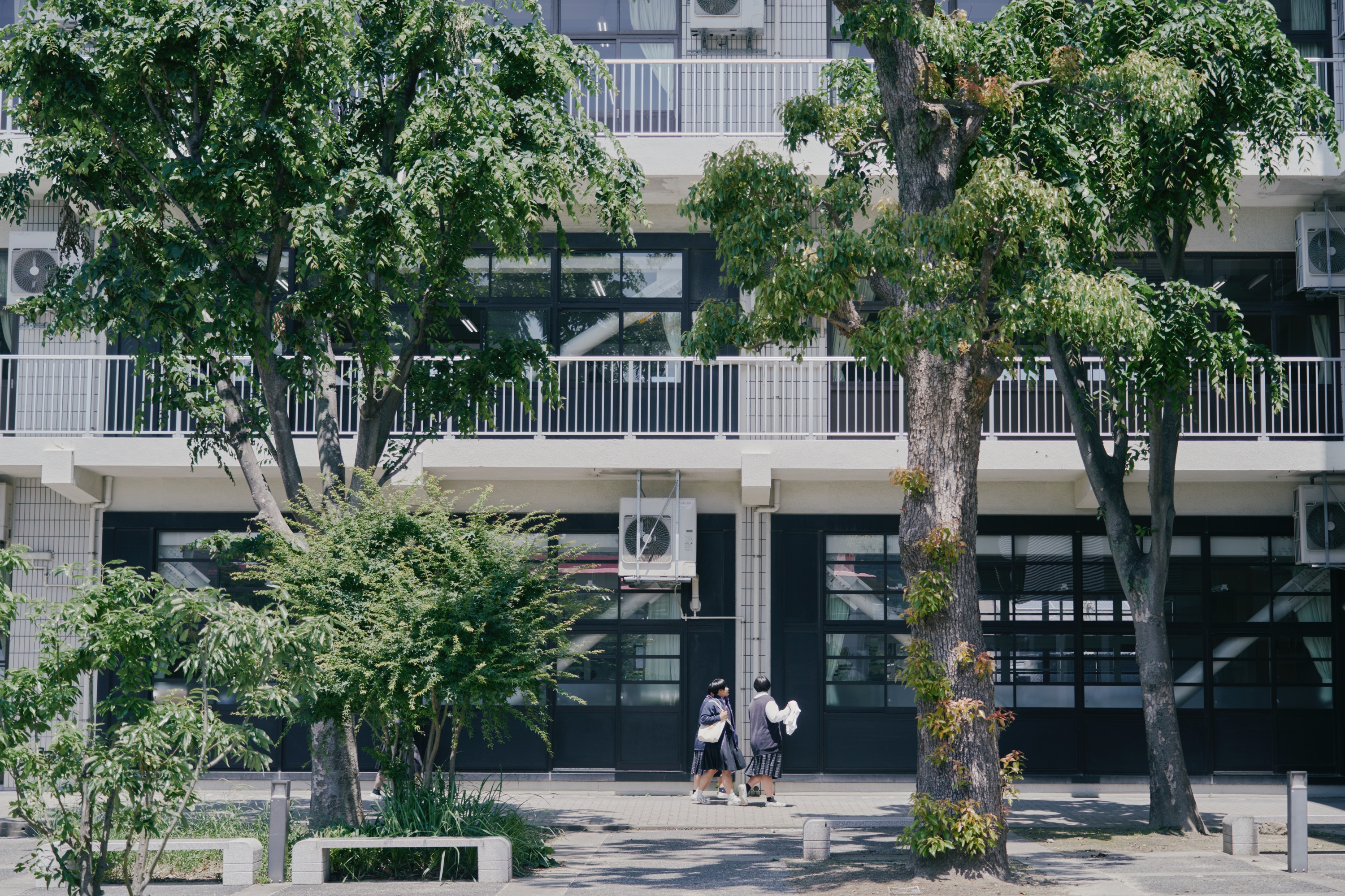 敬愛中学校の学校生活8